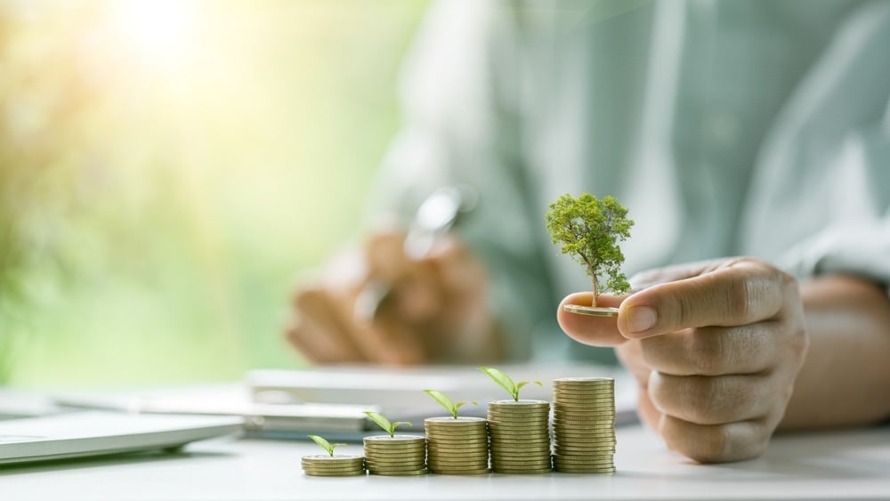 sustainable finance, man counting money with green tree illustration